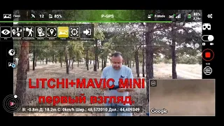 LITCHI+MAVIC MINI, первое знакомство.