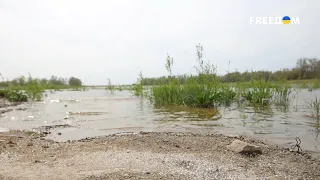 ВЕЛИКИЙ ЛУГ возрождается! Что происходит на месте бывшего КАХОВСКОГО водохранилища?