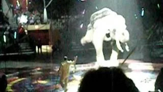 elephant pooping @ the circus