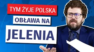 Najbardziej absurdalne newsy o zwierzętach