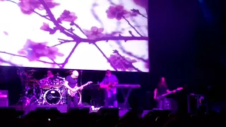 G3 Joe Satriani - Cherry Blossoms