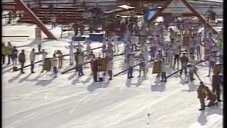 1993 02 24 Чемпионат мира Фалун лыжные гонки 15 км гонка преследования мужчины свободный стиль