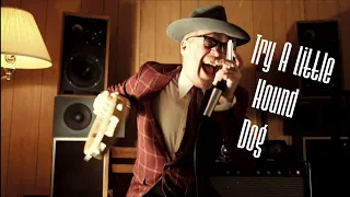 Try A Little Hound Dog - Son Of Dave official video