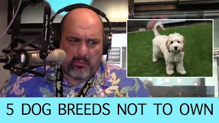 MJTV: 5 Dog Breeds They Say To Never Own! Even The Cute Ones!