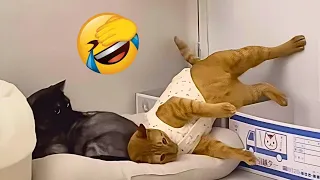 Funny Animal Videos 2023 😇 - Funniest Dogs and Cats Videos 🥰 #14