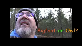 Bigfooter Gary Ep. 20 - Strange Howl Follow Up