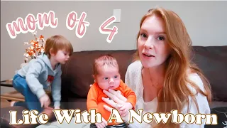 ADJUSTING TO LIFE WITH 3 TODDLERS AND A NEWBORN | DAY IN THE LIFE WITH A NEWBORN