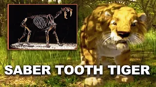 The Incredible Truth Behind Why These Deadly Creatures Went Extinct | Extinct Animal | Real Wild