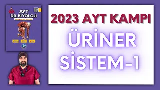 Üriner Sistemi-1 AYT Biyoloji Kampı Konu Anlatımı/ 11.Sınıf 2024 Tayfa