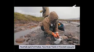 10.12.20. «Новости Северного города» Последствия и рекомендации. Дом для бродяжек. Легенды города