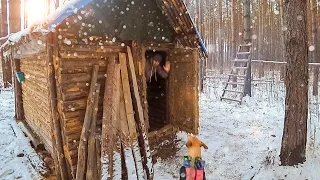 I came to my log cabin, and there was a man. Video in Russian. Turn on subtitles.