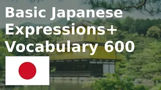 Basic Japanese Expressions+Vocabulary 600