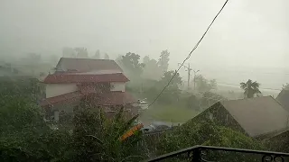 Грибной 🍄 дождик 🌈