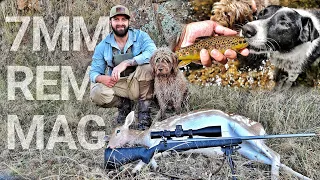 Fallow Deer - 7MM REM MAG - Solo Hunting - Trout Fishing - Sambar Honk - German Wirehaired Pointer