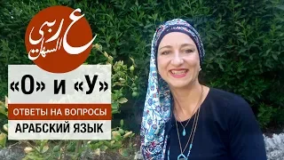 Почему арабы не различают стол и стул??? Живой арабский с Еленой Клевцовой