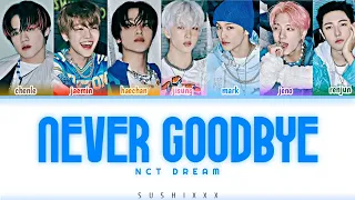 NCT DREAM - Never goodbye [han/rom/eng color coded lyrics]