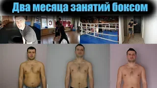 Два месяца занятий боксом ИТОГ 🥊 В БОКС ПОСЛЕ 30 лет