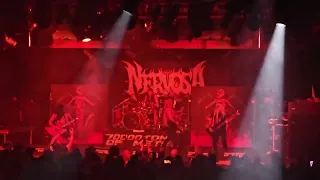 Nervosa - Seed of Death - 70,000 Tons of Metal 2024
