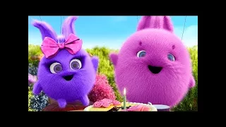 Sunny Bunnies | Full Episode Compilation | Kids Show | Animated Videos For Kids | Kids Show