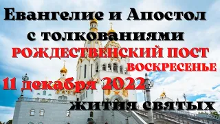 Евангелие дня 11 декабря 2022 с толкованием.  Апостол дня.  Жития Святых.