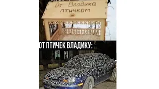 Птицы перекрасили тачку АХАХА )) Владелец в шоке))) ЛЮТЫЕ МЕМЫ