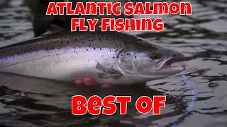 Atlantic Salmon Fly Fishing - Best Of