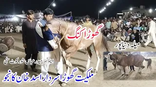 Ghora Dance Duniya Pur |White Nukre Ghora | Horse Dance | Ghora Dance| Pakistan Rung