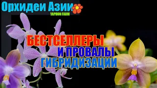 Сорта-шедевры, и сорта-уроды. Так бывает