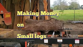 Small Black Walnut log money maker