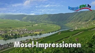 Mosel | Impressionen | Rhein-Eifel.TV