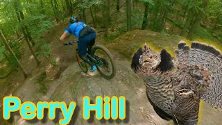 This Trail Center has it ALL! | Rocks, Roots, and KILLER BIRDS! | PERRY HILL | Waterbury, VT