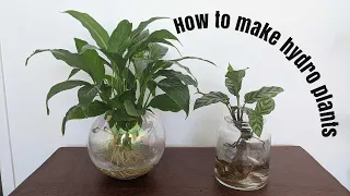 How to turn a plant from soil to hydro (first time for me!)