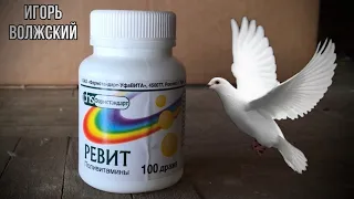 Витамины Ревит голубям