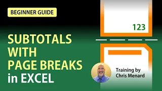 Excel Subtotals with page breaks