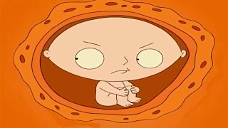 El nacimiento de Stewie | Padre de Familia