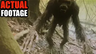 Trail Cams Captured Some Mysterious Scary Creatures That Will Leave you in Fear | It's Terrifying