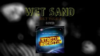 13 Wet Sand [Only Vocals]