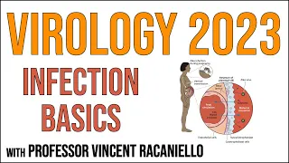 Virology Lectures 2023 #12: Infection basics