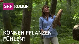 Zurück zu einer beseelten Natur? | Sternstunde Religion | SRF Kultur