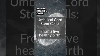 Embryonic Stem Cells Vs  Umbilical Cord Stem Cells #shorts #stemcells #stemcelltherapy