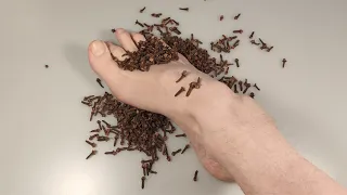 Place the cloves on your feet. The effect is extremely strong