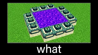 wait what end portal or nether portal ?