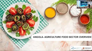 Market potential on agro and food processing companies  in Luanda, Angola