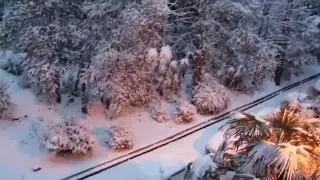 [КовалевЯ] Зимнее снежное утро в Сочи