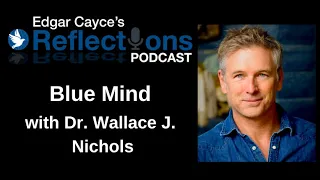 Blue Mind with Dr. Wallace J. Nichols | Reflections