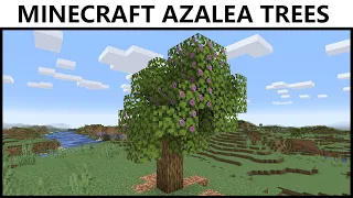 Where To Find AZALEA TREES In MINECRAFT