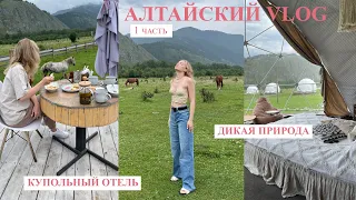 АЛТАЙСКИЙ VLOG 1 часть I купольный отель и красивая дикая природа!