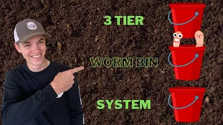 Cheap and EASY Three Tier Worm Bin System!