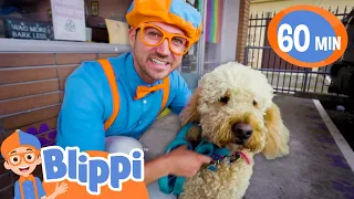 Caring After Pets - Cute Animals in the Shelter | Blippi | Educational Kids Videos | Moonbug Kids