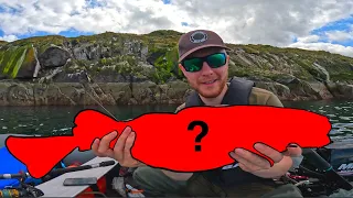 Multiple Unexpected PB's! (Sea Fishing Scotland)